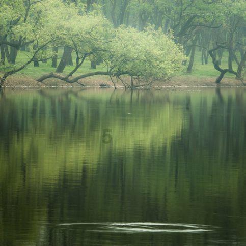 小恐龙来找茬