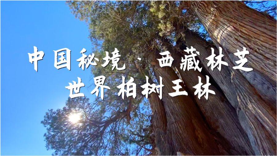 《厌山夜话》试玩demo内容一览